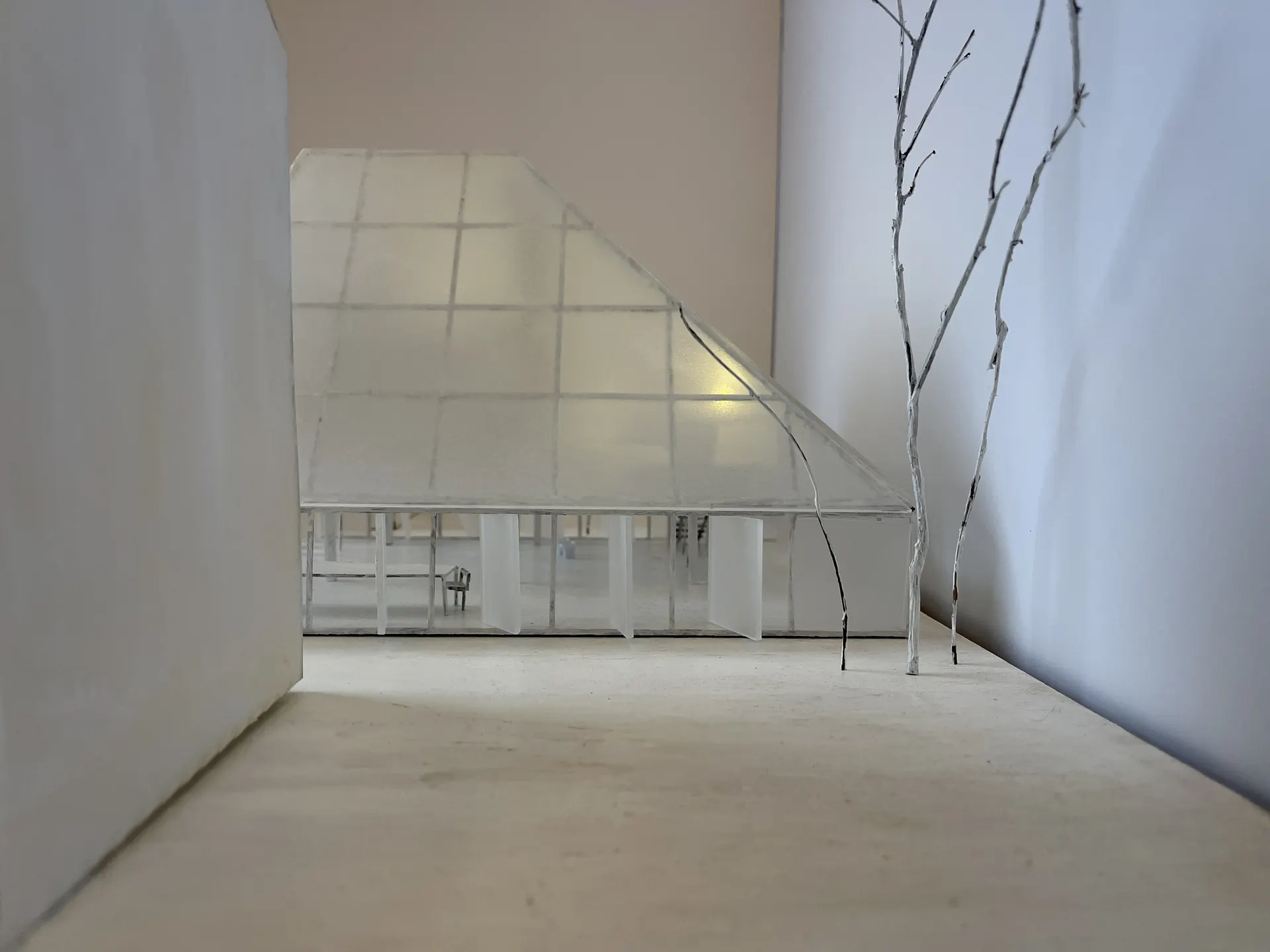 Model view from neighbor's garden